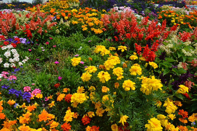 Feature Image